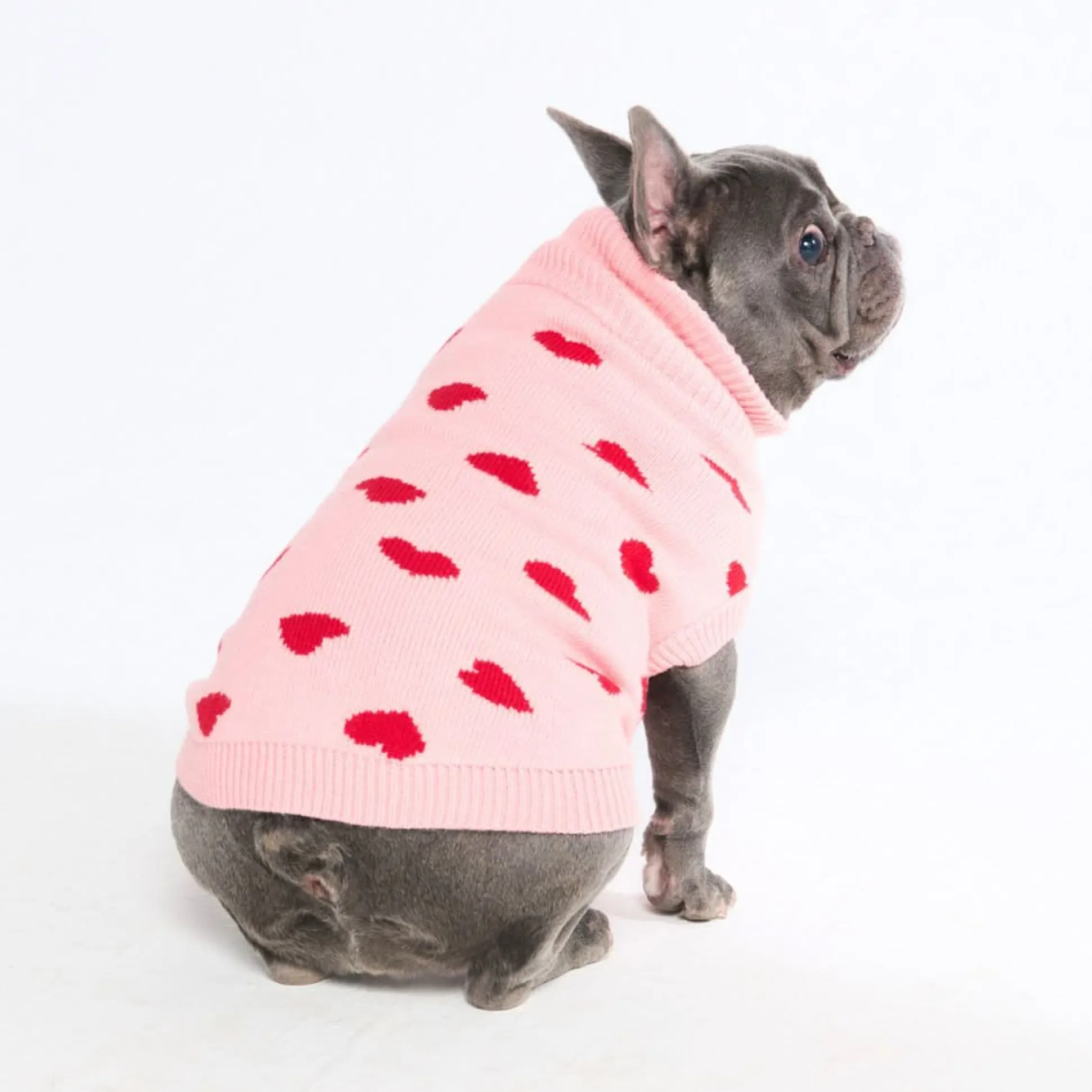 Hearts Knit Dog Sweater