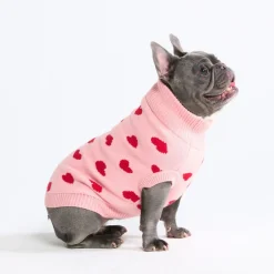 Hearts Knit Dog Sweater