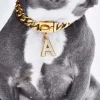 Initial Letter Jewelry Tag - A