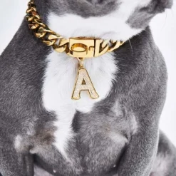 Initial Letter Jewelry Tag - A