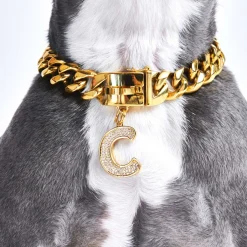 Initial Letter Jewelry Tag - C