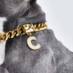 Initial Letter Jewelry Tag - C