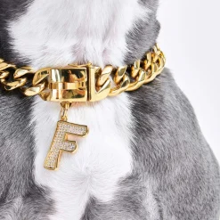 Initial Letter Jewelry Tag - F