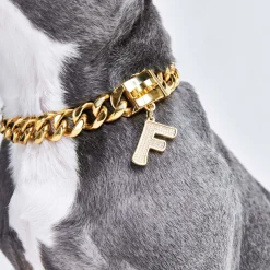Initial Letter Jewelry Tag - F