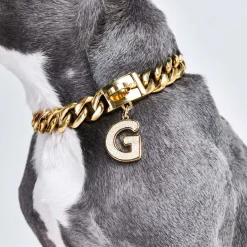 Initial Letter Jewelry Tag - G