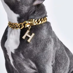 Initial Letter Jewelry Tag - H
