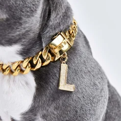 Initial Letter Jewelry Tag - L