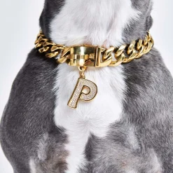 Initial Letter Jewelry Tag - P