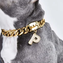 Initial Letter Jewelry Tag - P