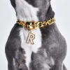 Initial Letter Jewelry Tag - R