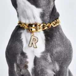 Initial Letter Jewelry Tag - R