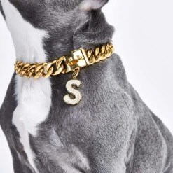 Initial Letter Jewelry Tag - S