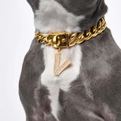 Initial Letter Jewelry Tag - V