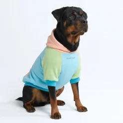 Jelly Bean Dog Hoodie