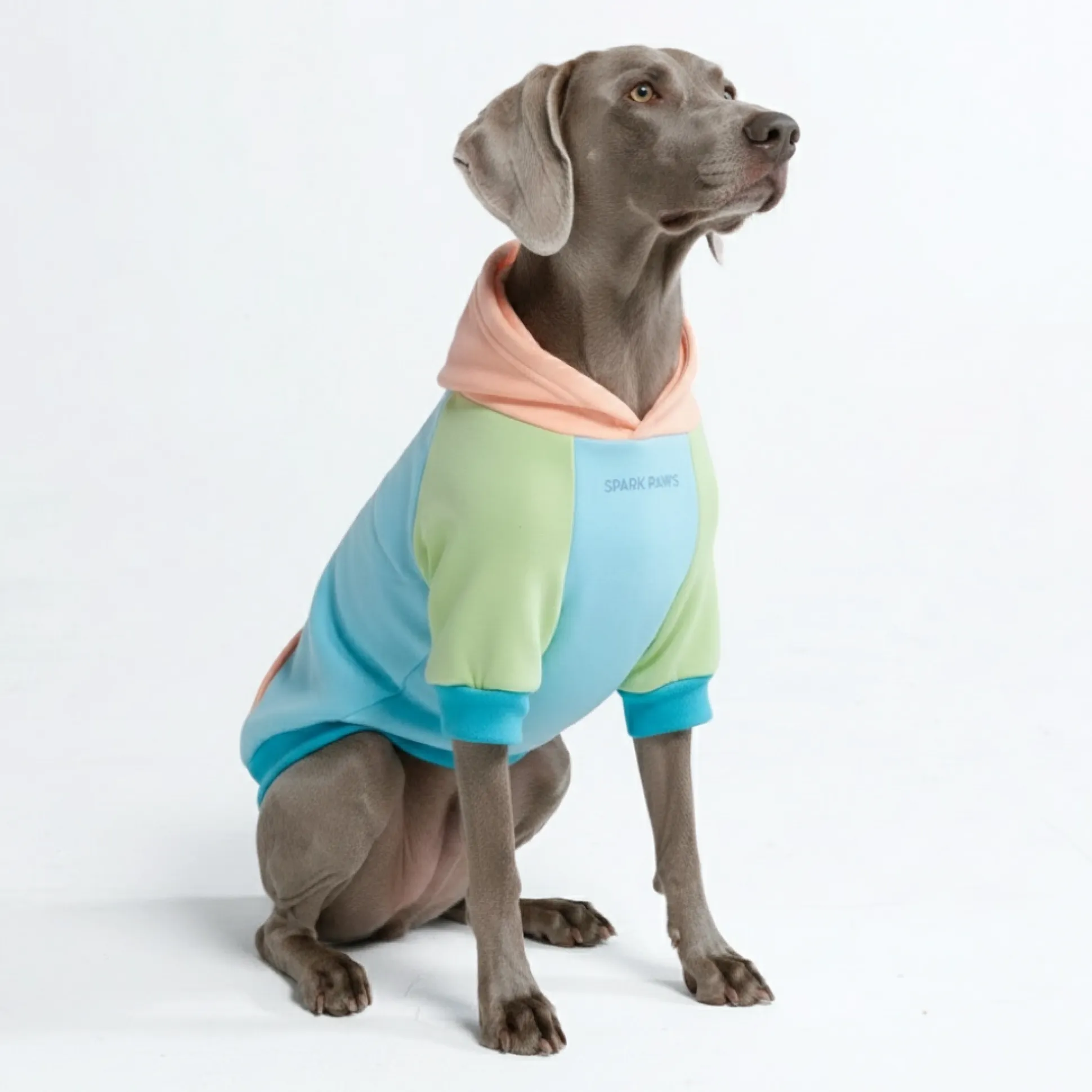 Jelly Bean Dog Hoodie