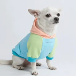 Jelly Bean Dog Hoodie