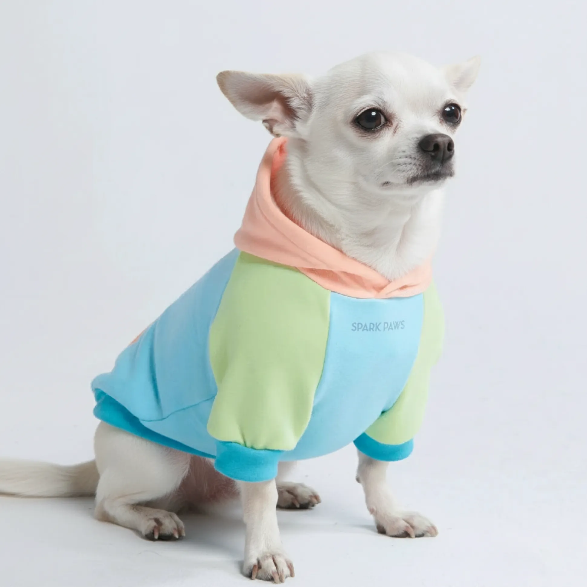 Jelly Bean Dog Hoodie