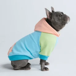 Jelly Bean Dog Hoodie