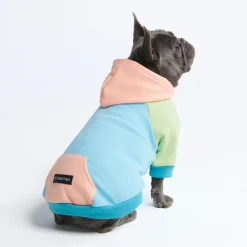 Jelly Bean Dog Hoodie