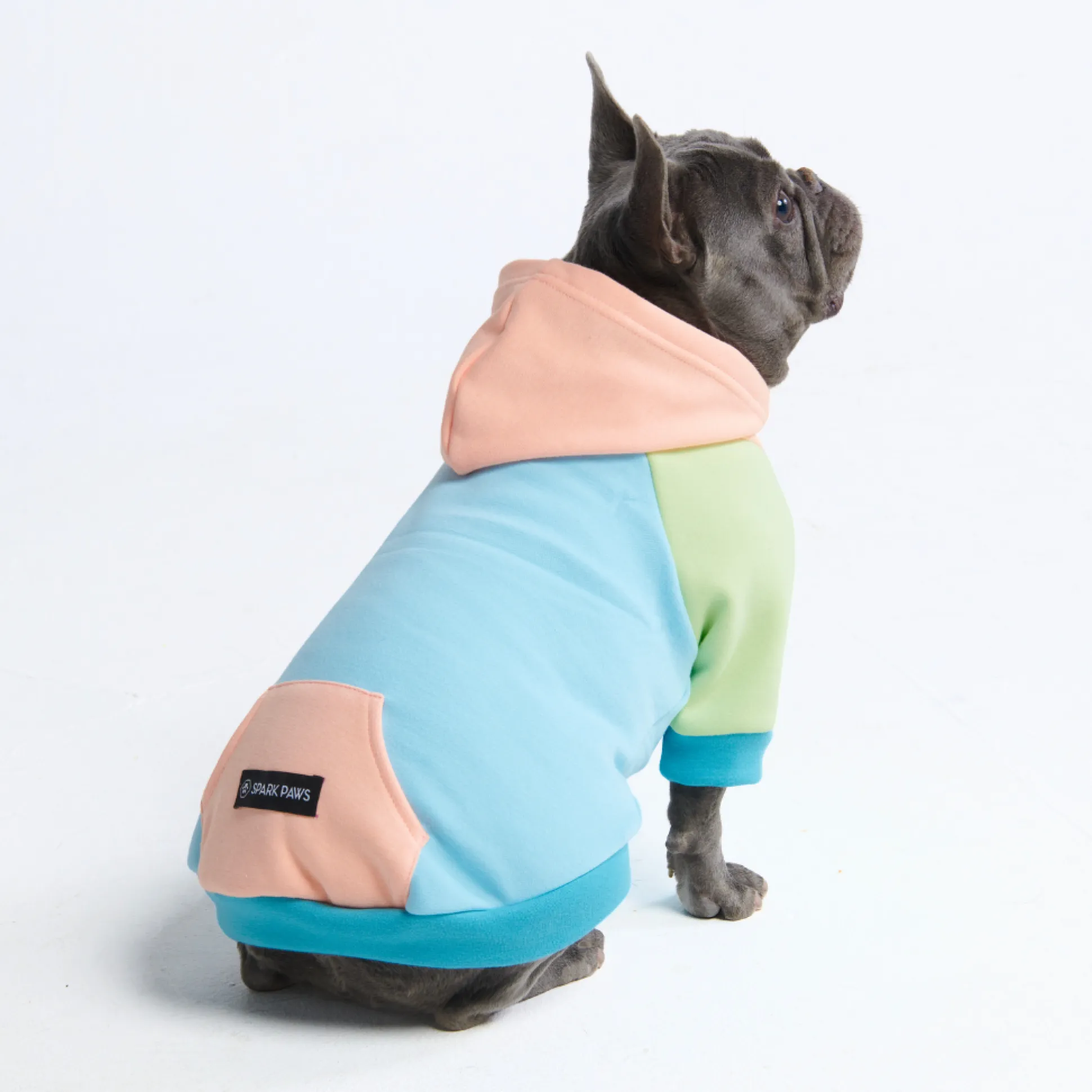 Jelly Bean Dog Hoodie