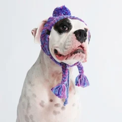 Knit Pom Pom Dog Beanie Hat - Purple & Lavender