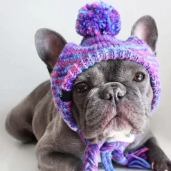 Knit Pom Pom Dog Beanie Hat - Purple & Lavender