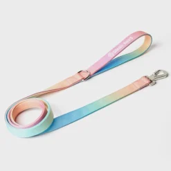 Leash and Poop Bag Holder Set