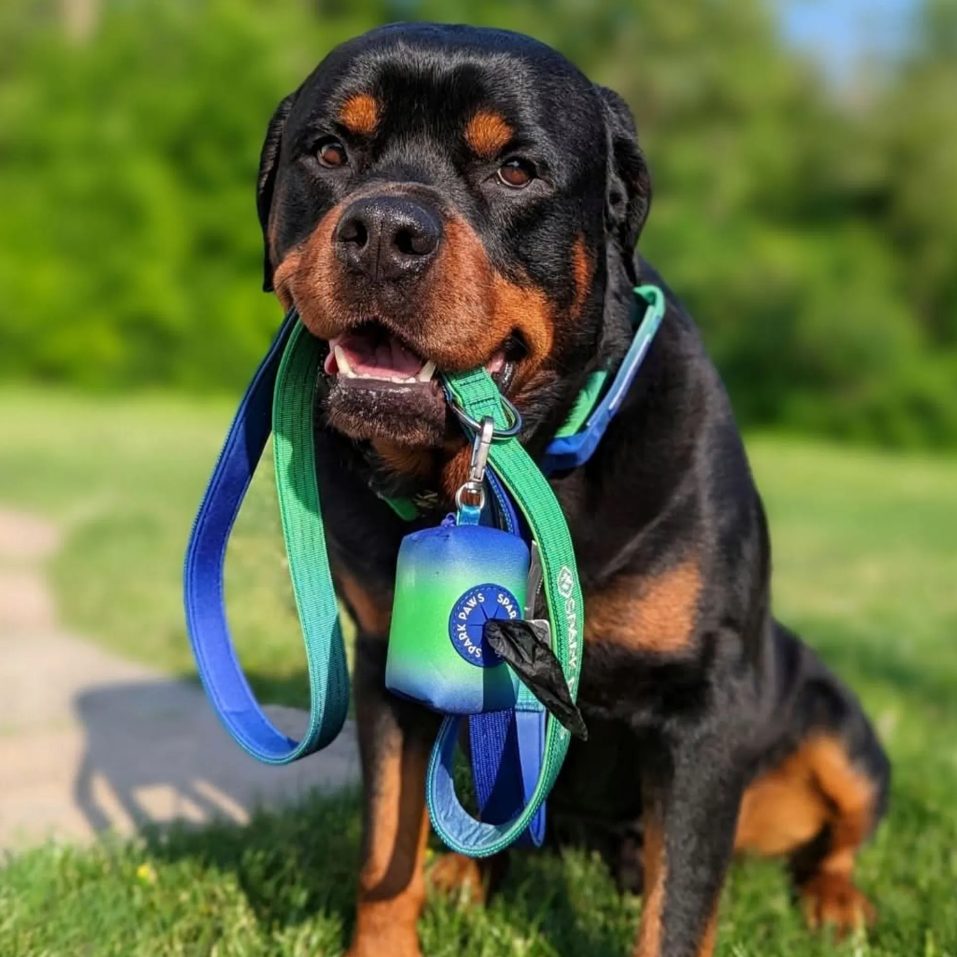 Leash and Poop Bag Holder Set