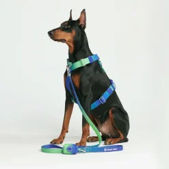 Leash and Poop Bag Holder Set