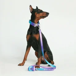 Leash and Poop Bag Holder Set