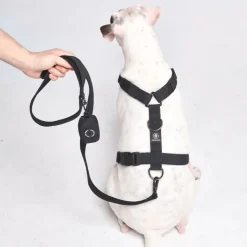 Leash and Poop Bag Holder Set