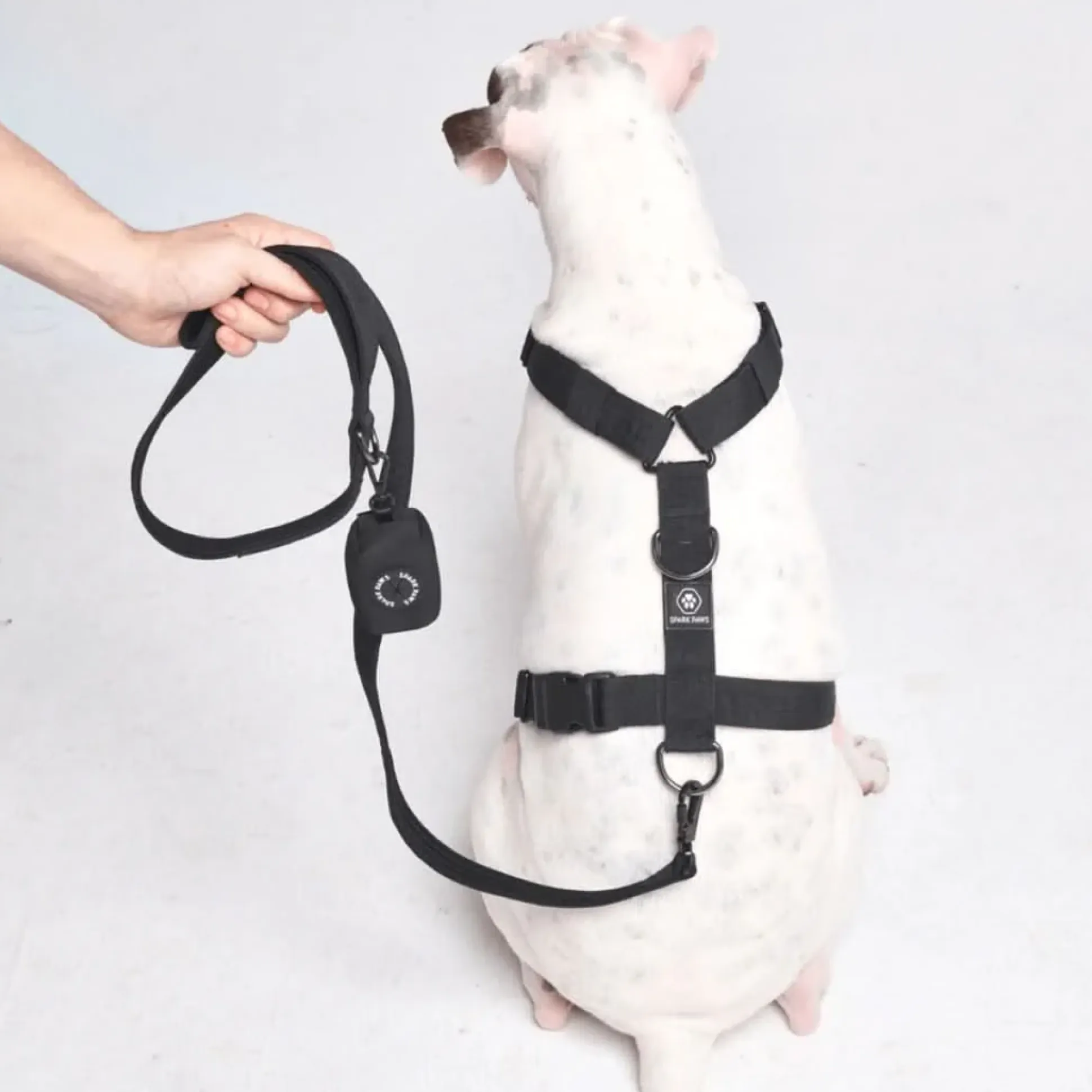 Leash and Poop Bag Holder Set
