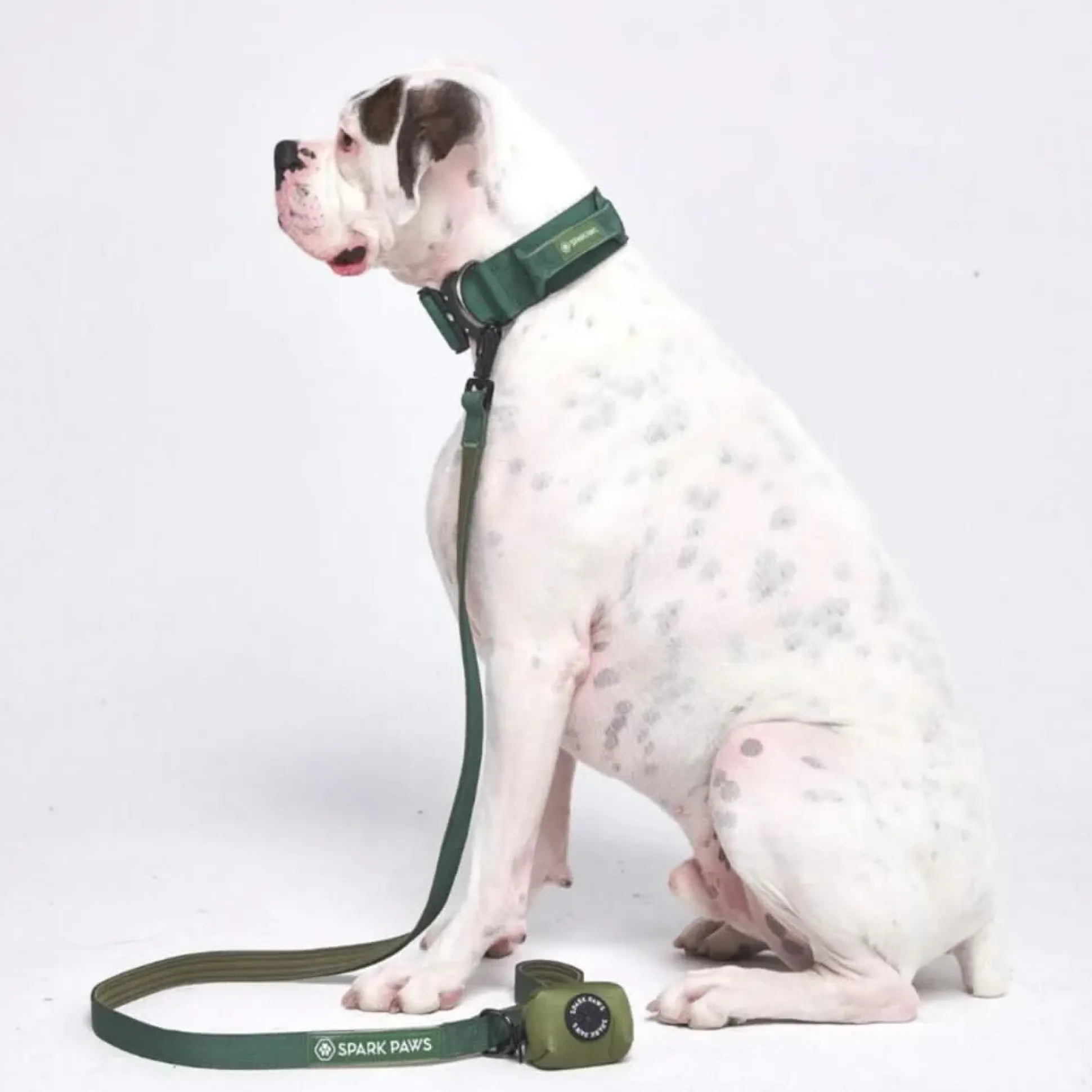 Leash and Poop Bag Holder Set