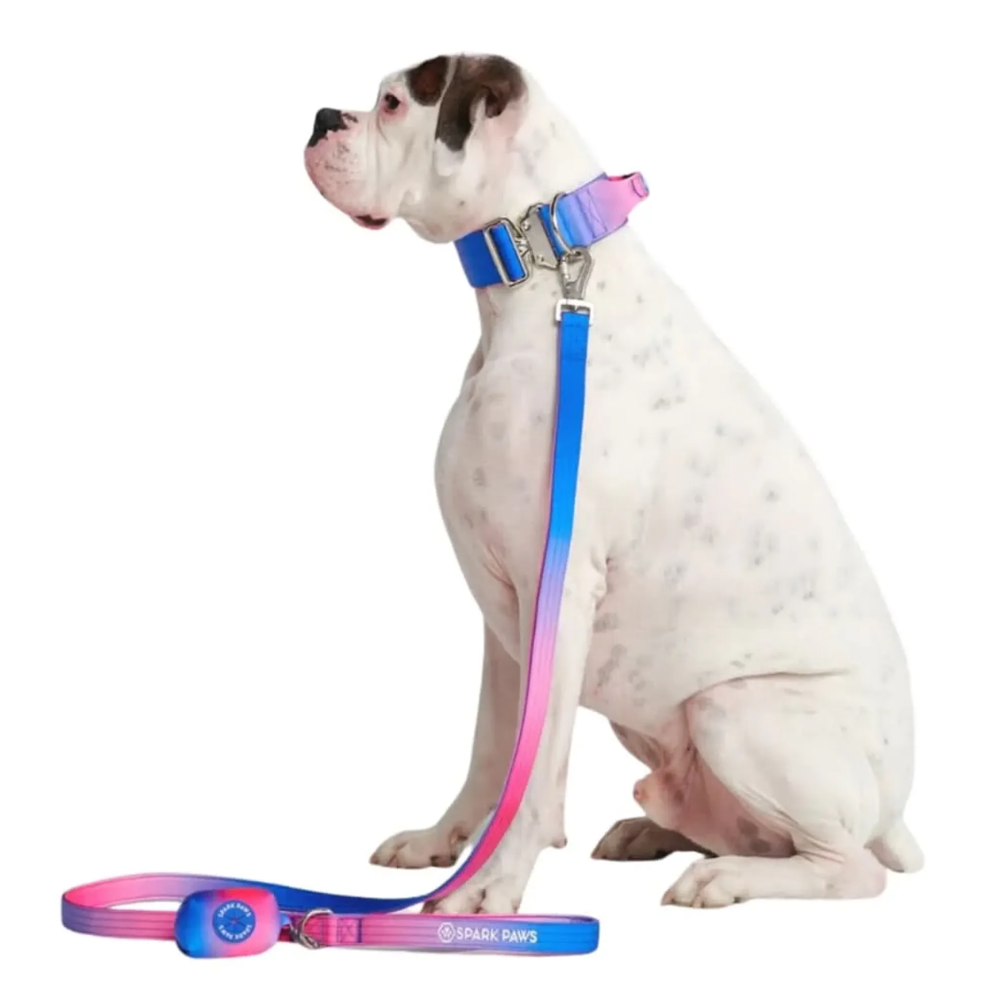 Leash and Poop Bag Holder Set