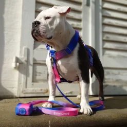 Leash and Poop Bag Holder Set
