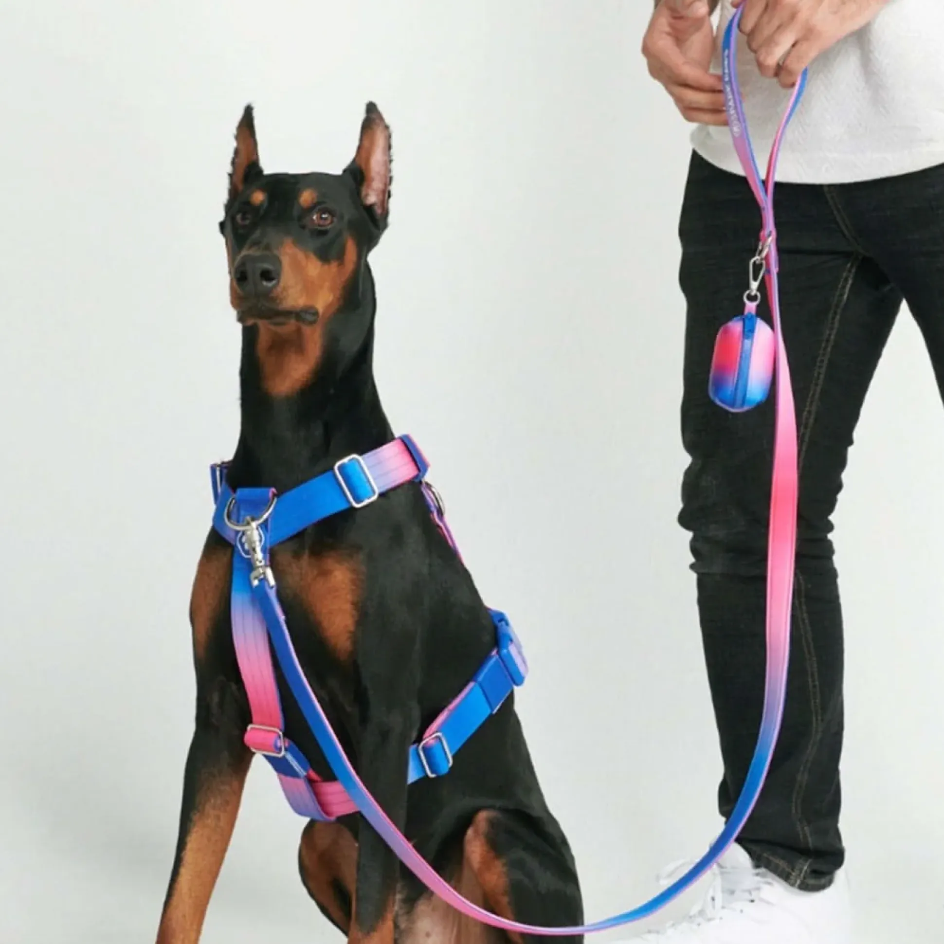Leash and Poop Bag Holder Set