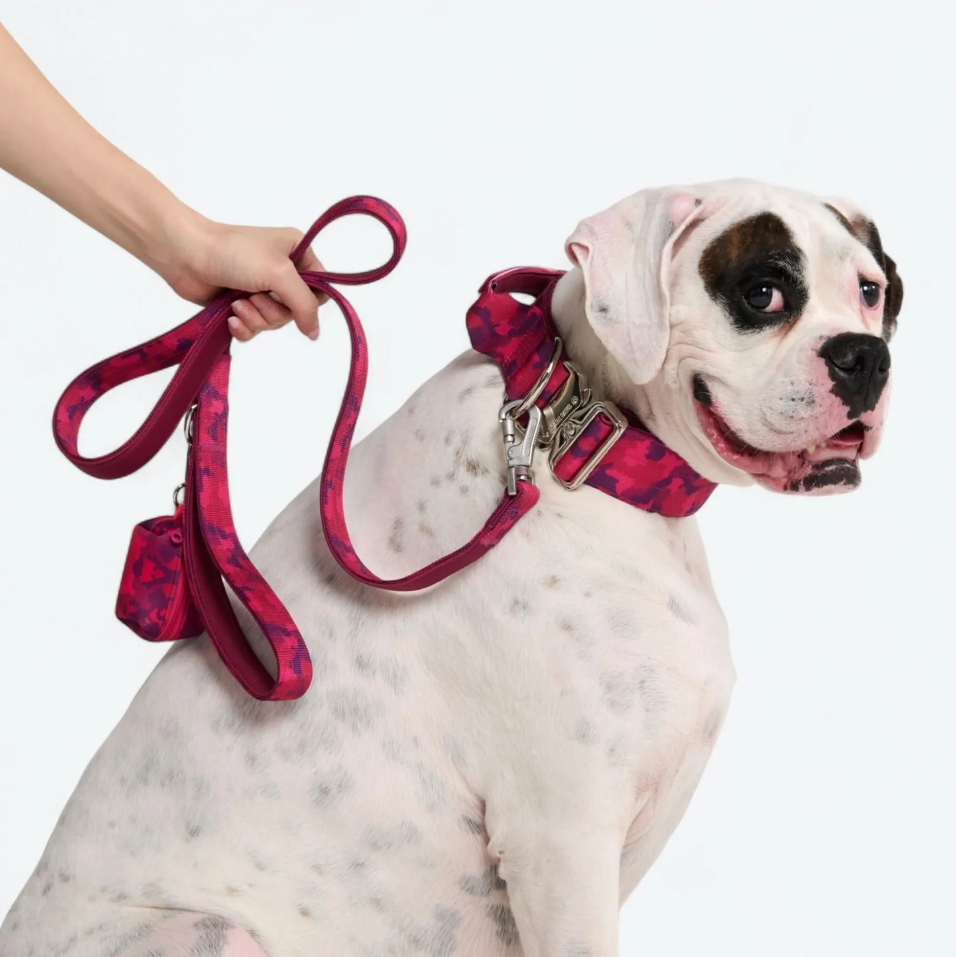 Leash and Poop Bag Holder Set