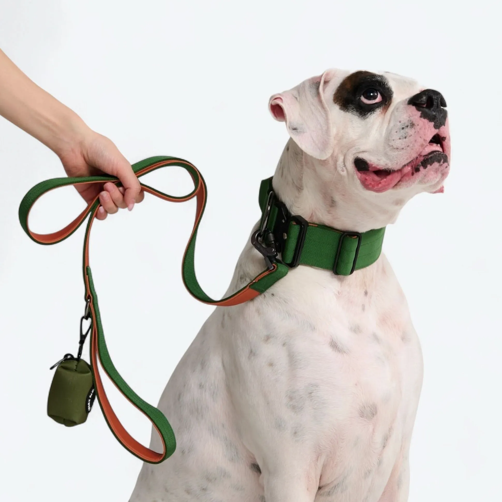 Leash and Poop Bag Holder Set