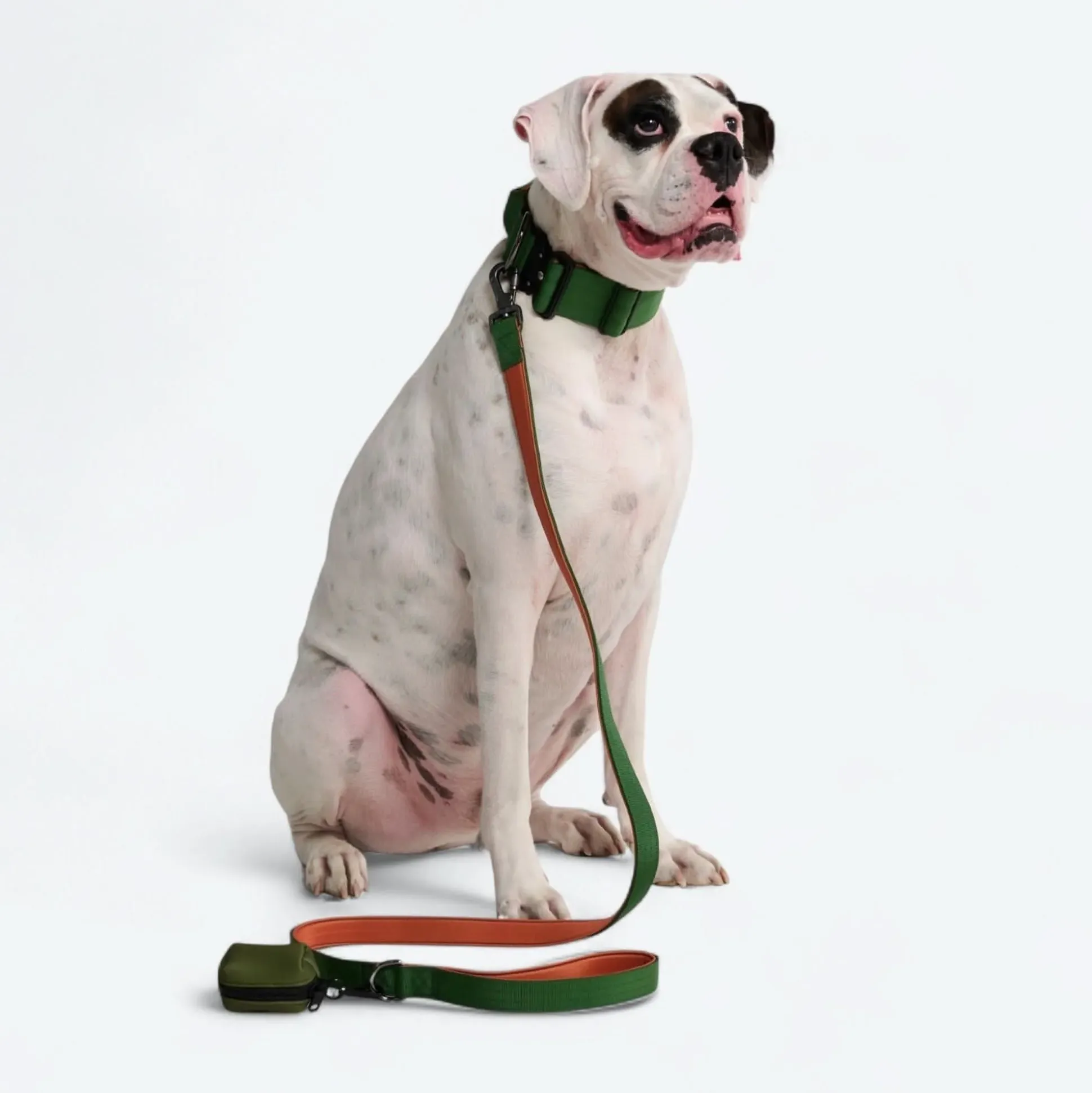 Leash and Poop Bag Holder Set