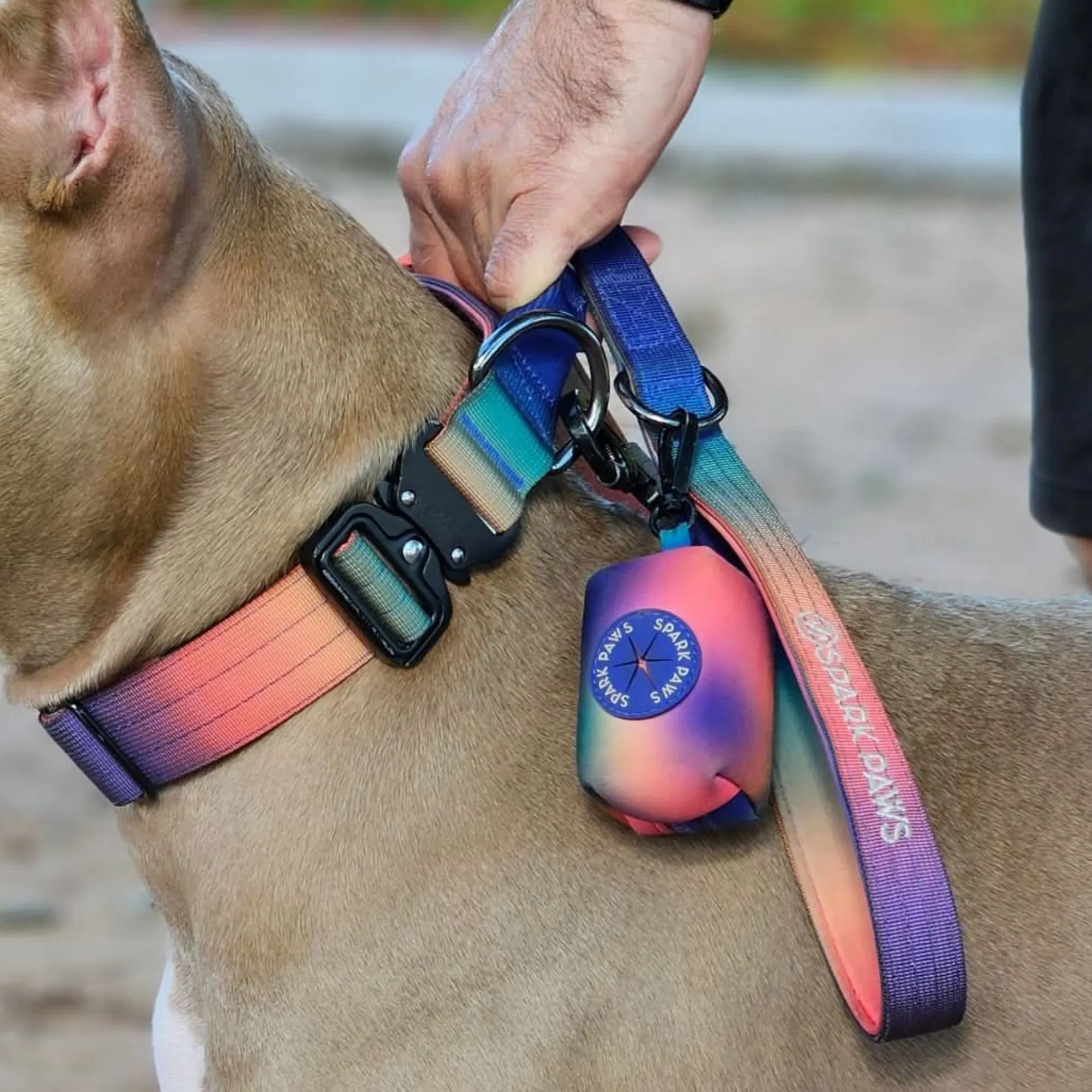 Leash and Poop Bag Holder Set