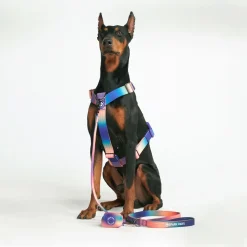 Leash and Poop Bag Holder Set