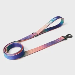 Leash and Poop Bag Holder Set