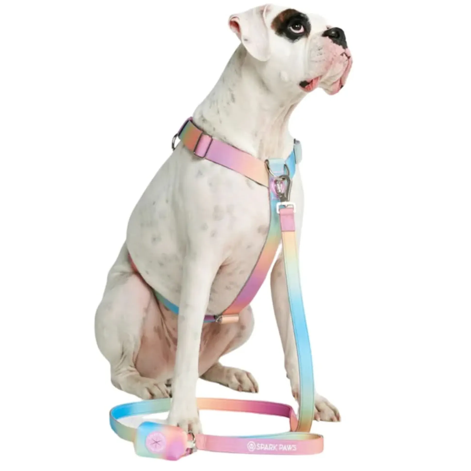 Leash and Poop Bag Holder Set