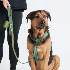 Leash and Poop Bag Holder Set - Army Green