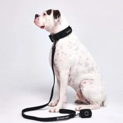 Leash and Poop Bag Holder Set - Black