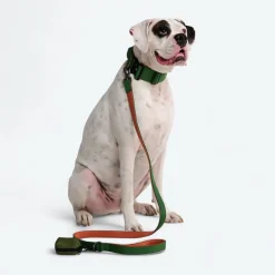Leash and Poop Bag Holder Set - Green Orange