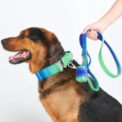 Leash and Poop Bag Holder Set - Lime Wave