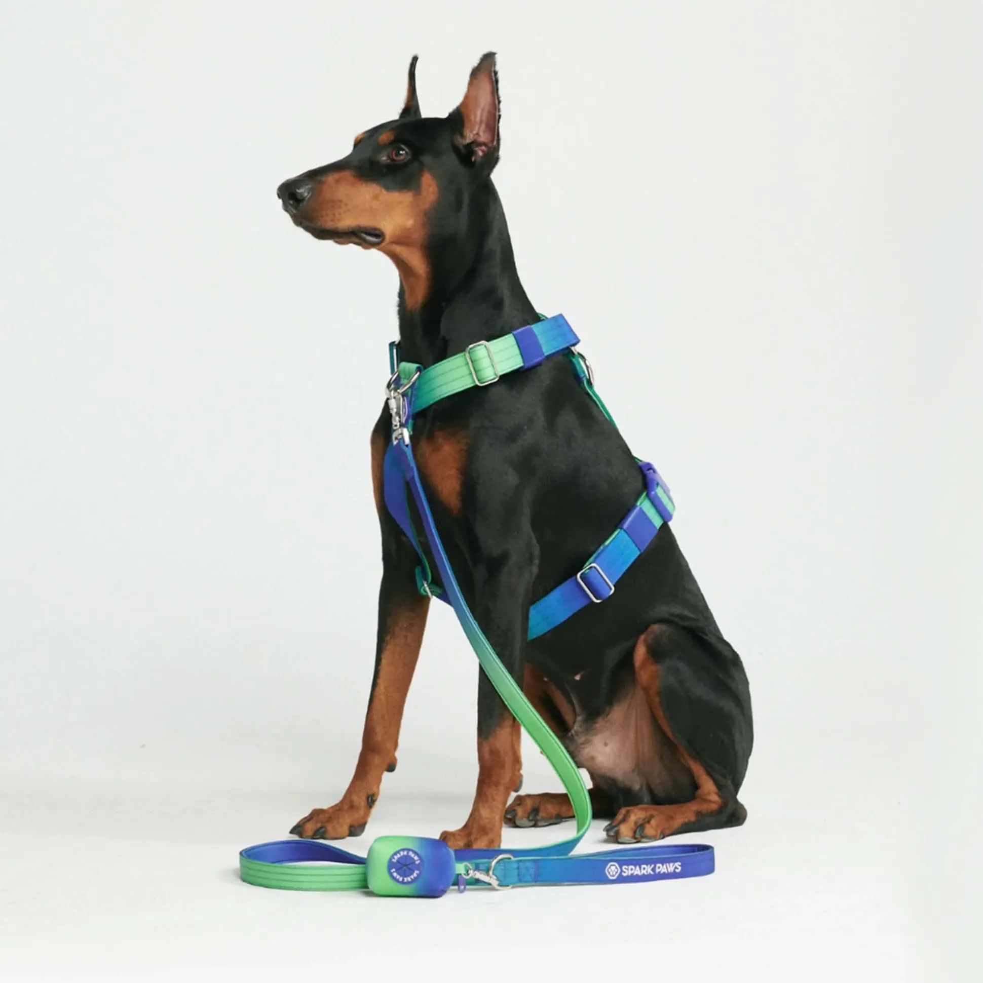 Leash and Poop Bag Holder Set - Lime Wave