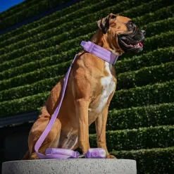 Leash and Poop Bag Holder Set - Lilac