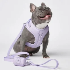 Leash and Poop Bag Holder Set - Lilac